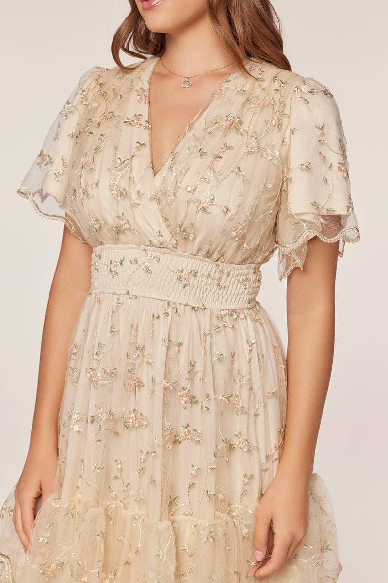 Tea n Rose - Mesh Embroidery Dress