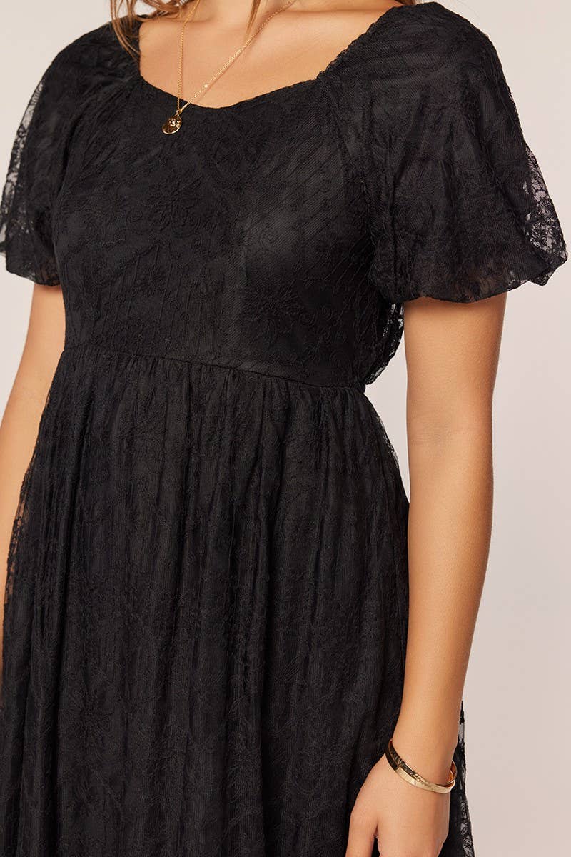 Tea n Rose - Embroidery Mesh Dress