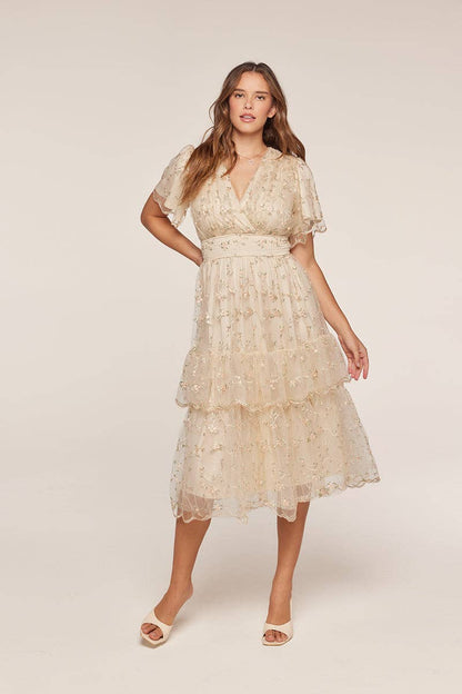 Tea n Rose - Mesh Embroidery Dress