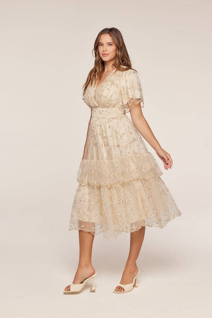 Tea n Rose - Mesh Embroidery Dress