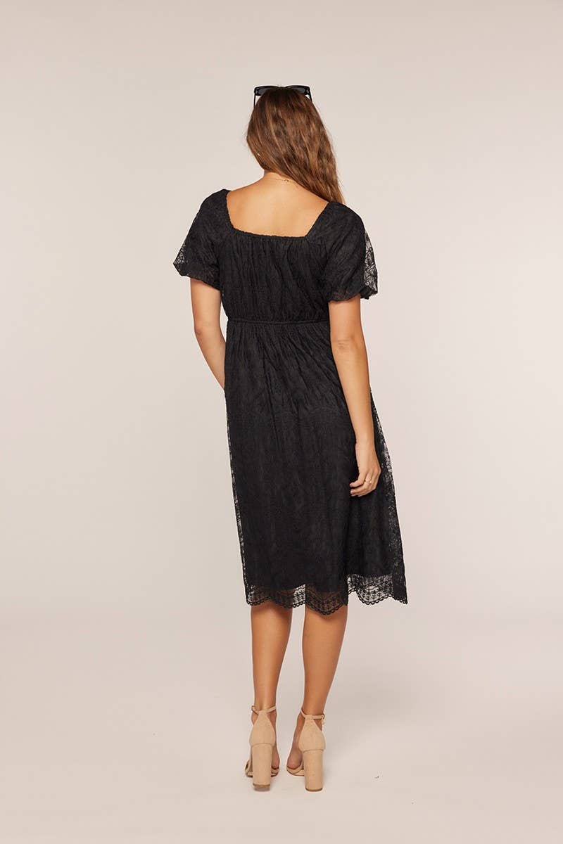 Tea n Rose - Embroidery Mesh Dress