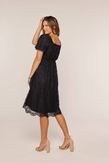 Tea n Rose - Embroidery Mesh Dress
