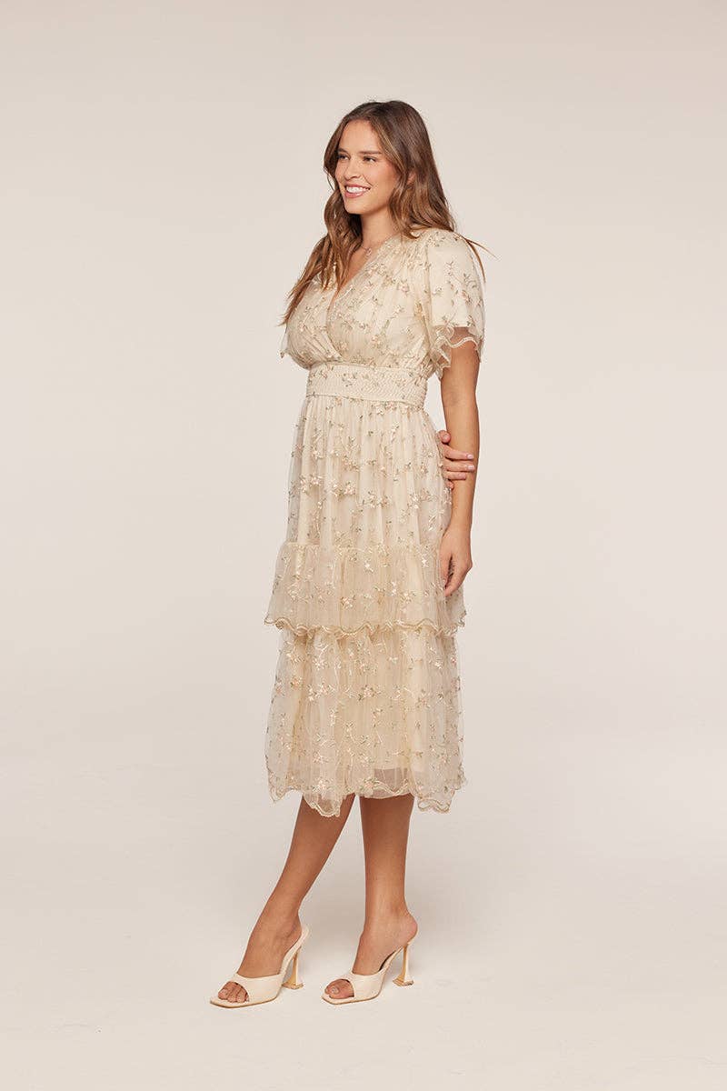 Tea n Rose - Mesh Embroidery Dress