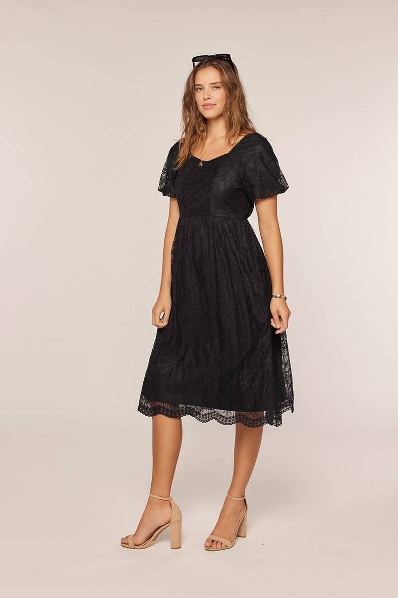Tea n Rose - Embroidery Mesh Dress