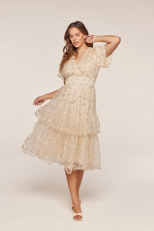 Tea n Rose - Mesh Embroidery Dress